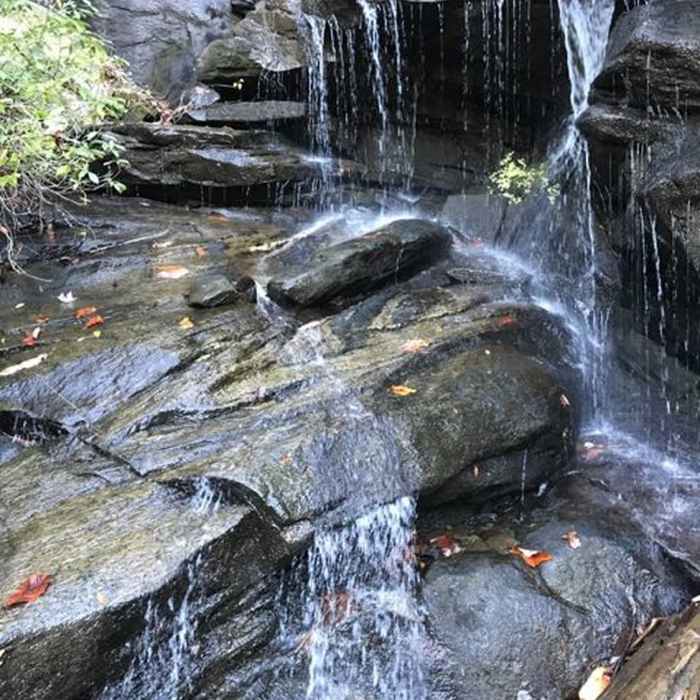 Near Frank Coggins Trail