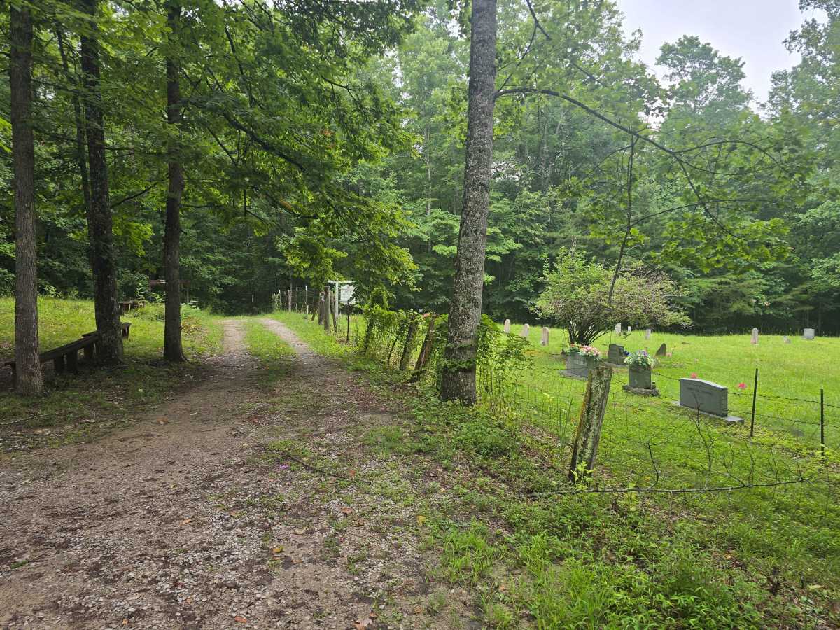Blevins Cemetery Road photo 3