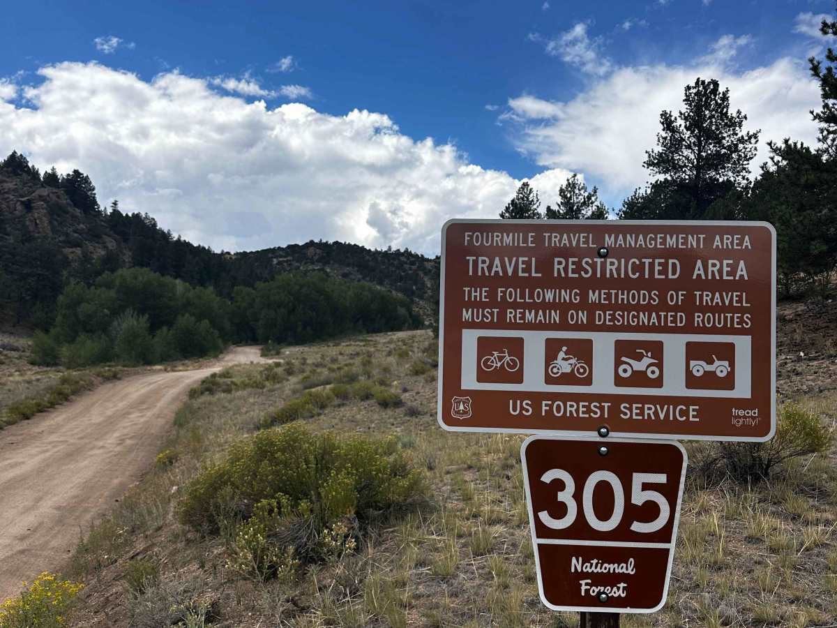 McGee Gulch - FS 305 trail photo