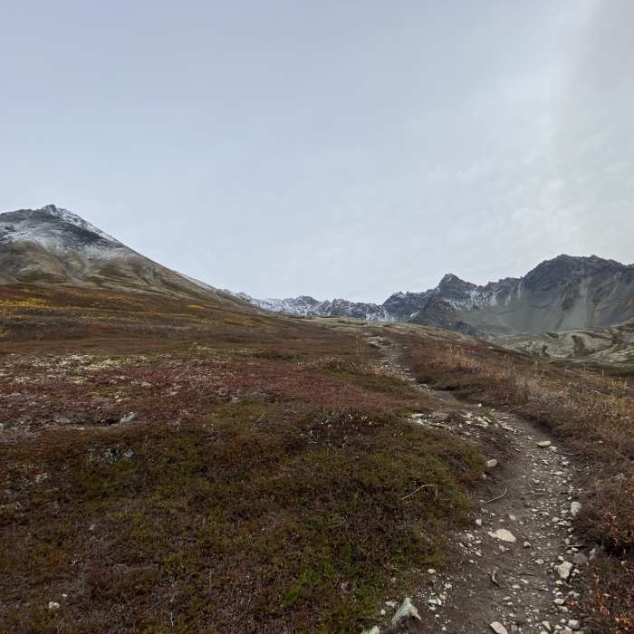 Near Matanuska Peak Route