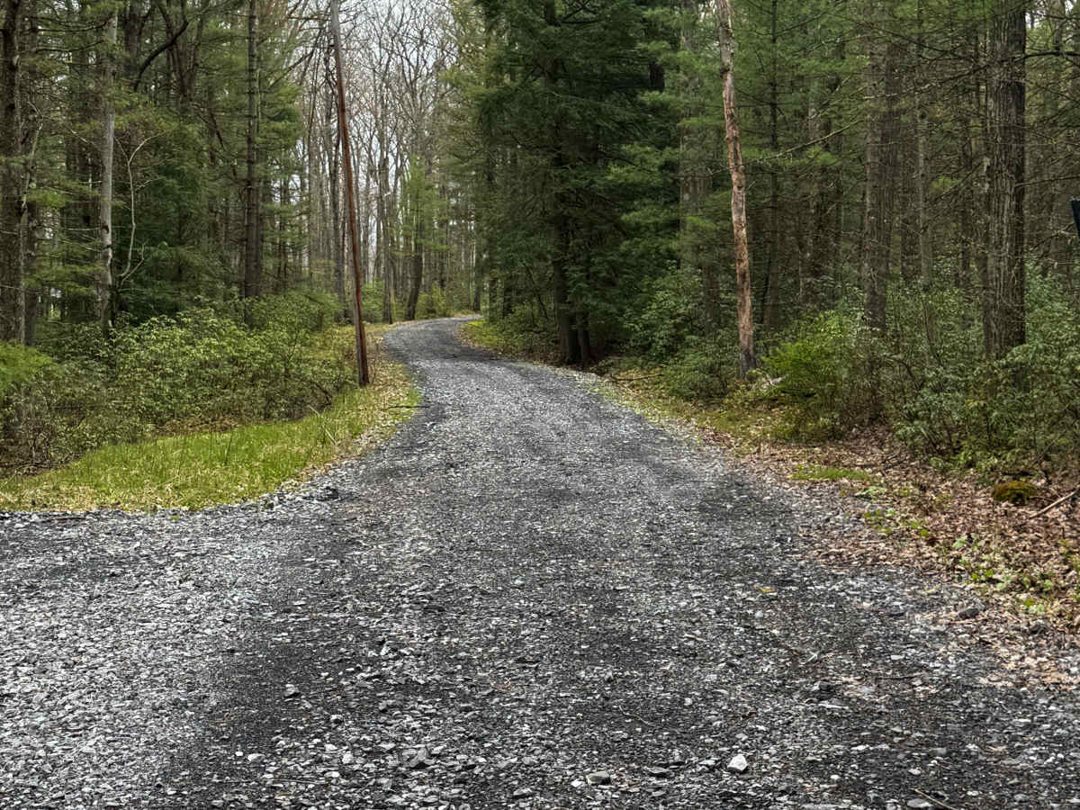 Harrowed Trail photo 3