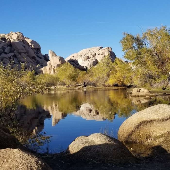 Near Barker Dam Nature Trail