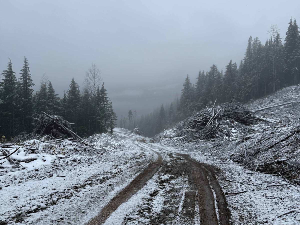 Copper River Road photo 3