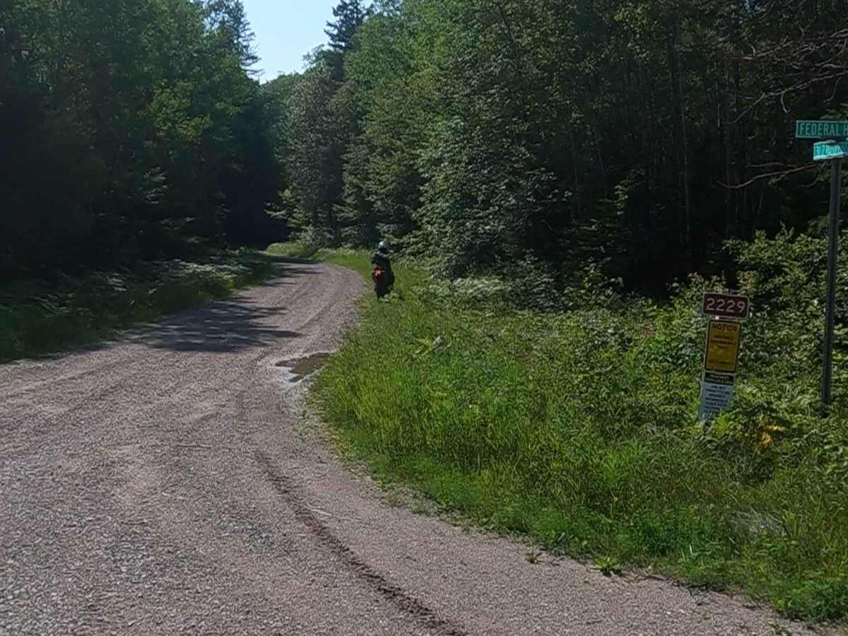 Sturgeon River Road - FSR 2229 photo 2