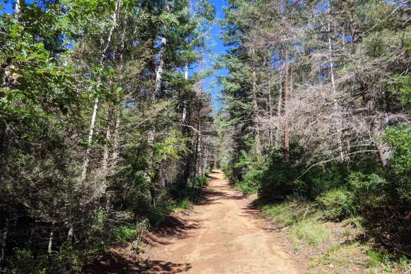 Glorieta Baldy