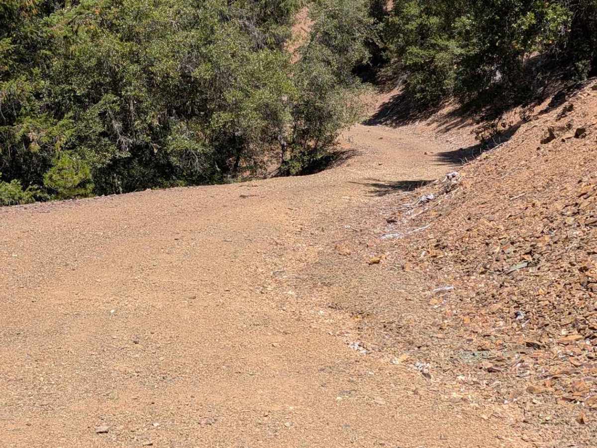 Blue Gulch Road - FS 30N25 photo 6