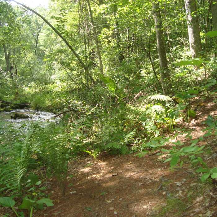 Near Foot Trail
