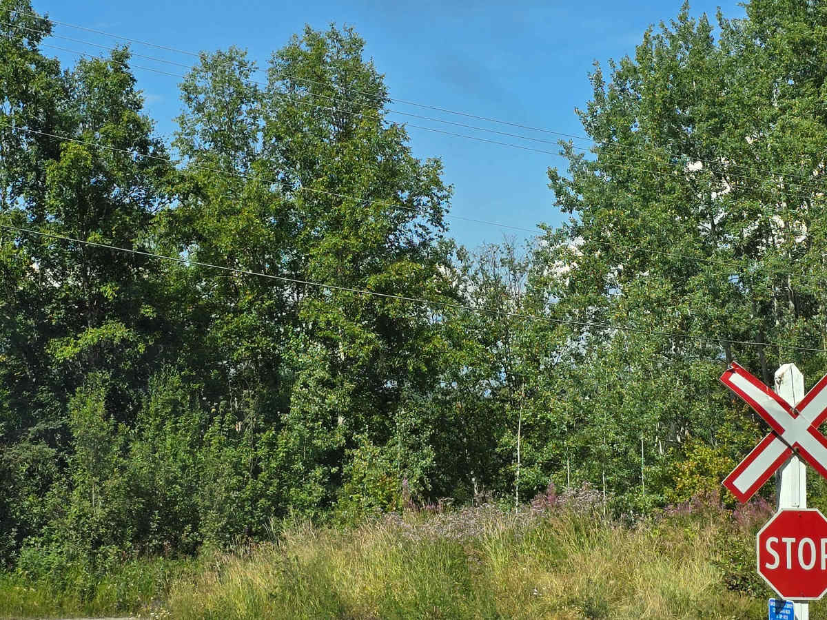 Anderson Flats trail photo