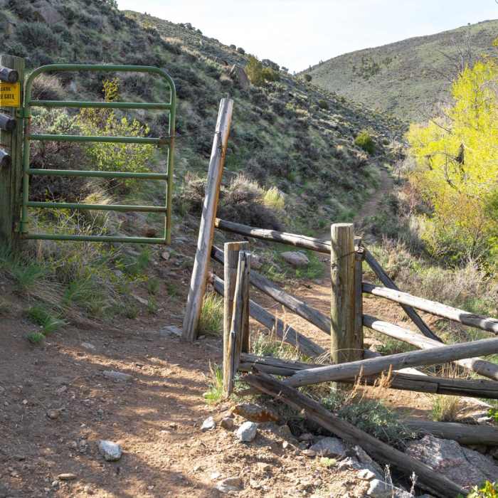 Near Encampment River Trail