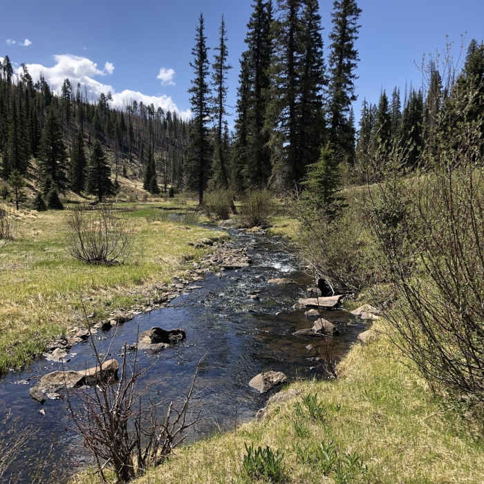 Near Thompson Trail #629