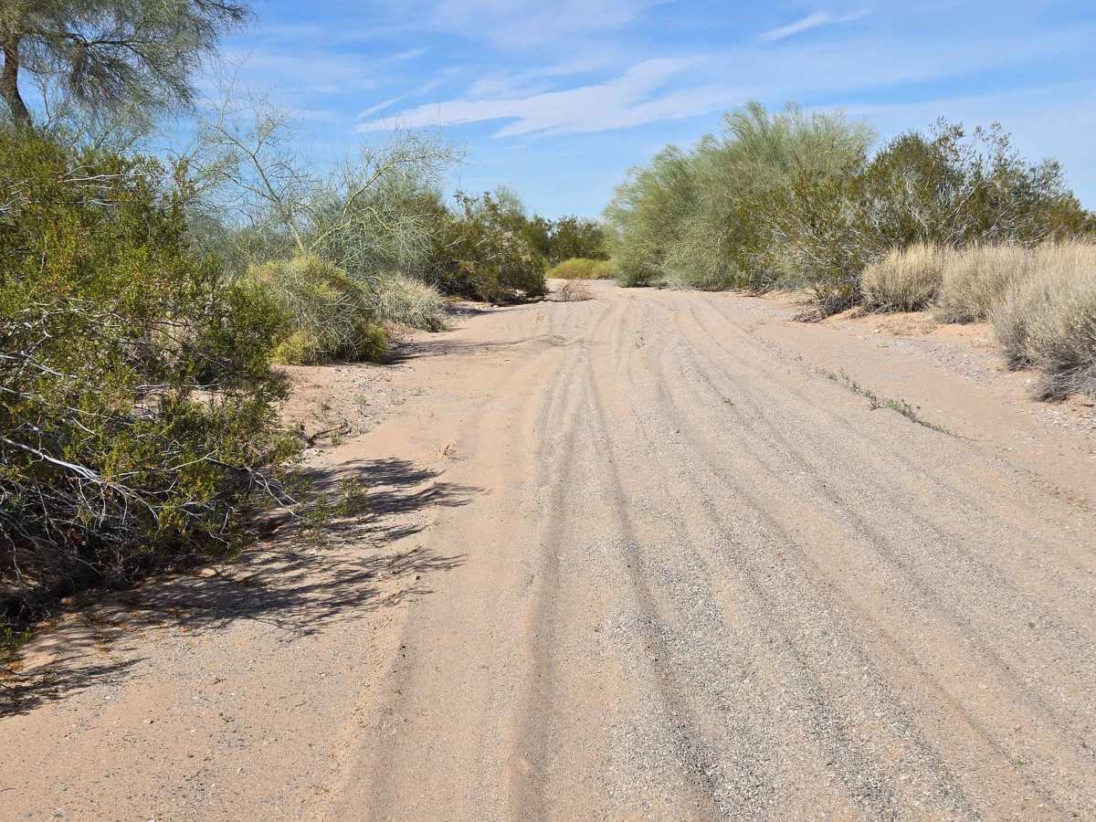 Long Way Around photo 4