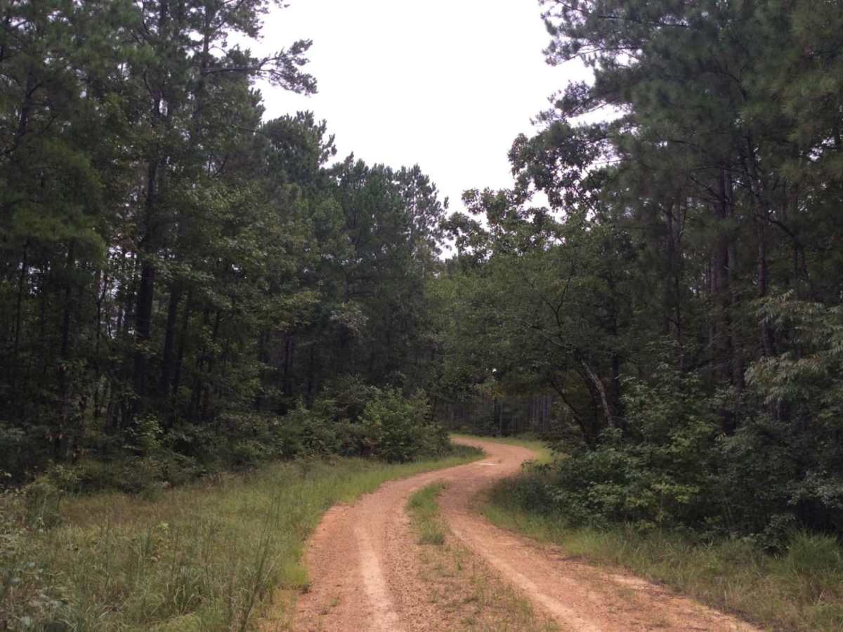 HCNF Swayze Trace Trail photo 6