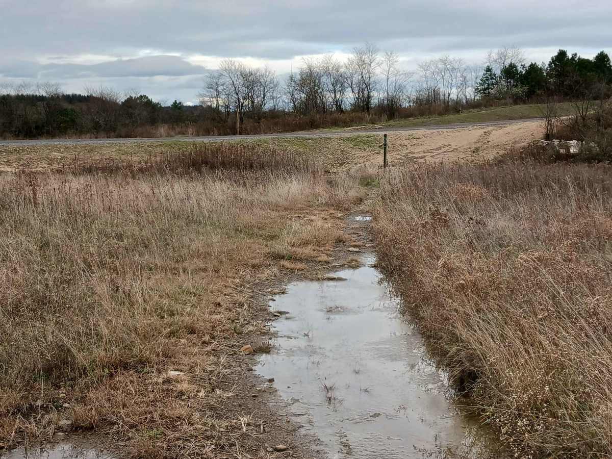 Trail 13B - Rock Run Recreation Area photo 6