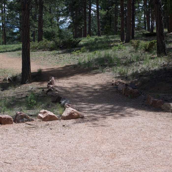 The Sawmill departs the Ponderosa Loop Trail and heads out into more remote areas of the park Near Boulder Creek Trail
