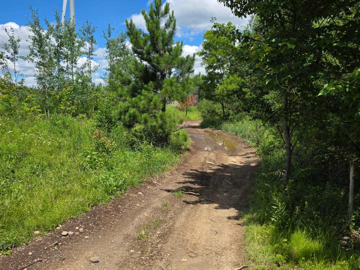Single Track FF photo 6