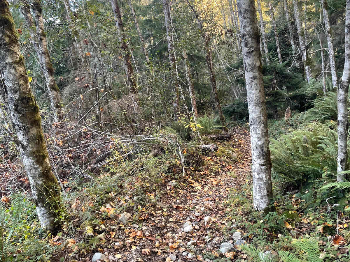 Final Stretch trail photo