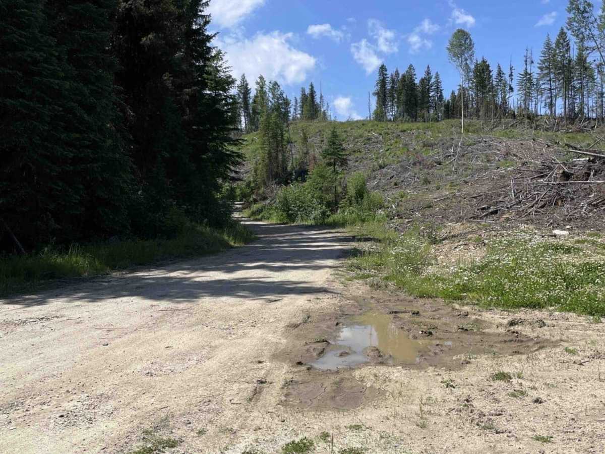 Had FSR to Aberdeen Lake photo 2
