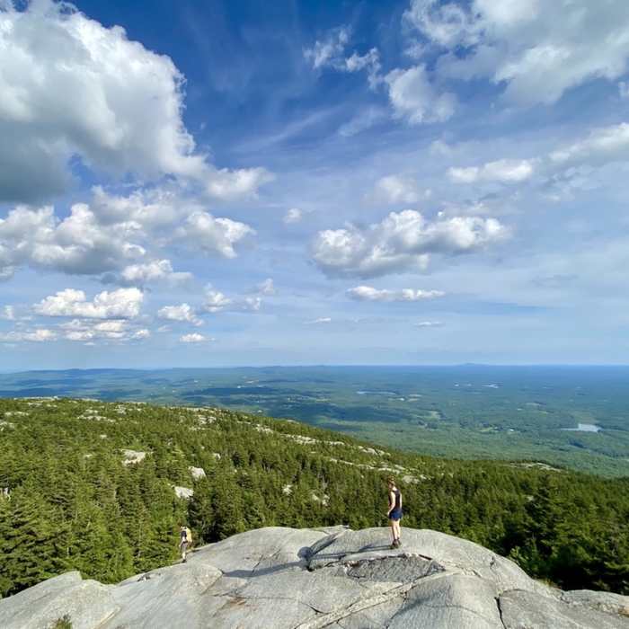 Near Monadnock - Sunapee Greenway