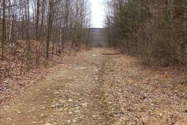 Rocky Run - Rock Run Recreation Area