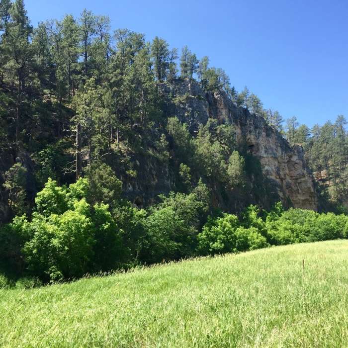 Near Cold Brook Canyon Trail