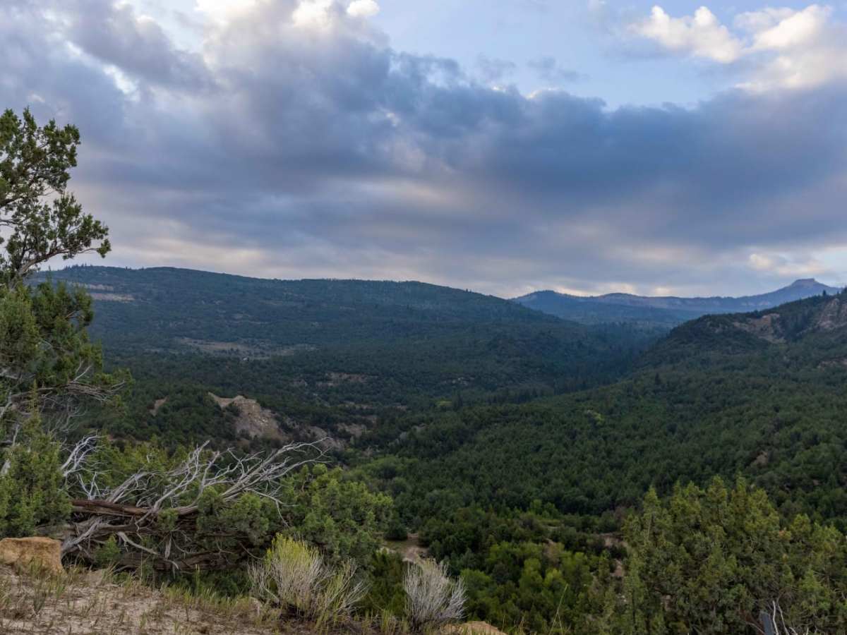 Mayfield-Gunnison Road trail photo