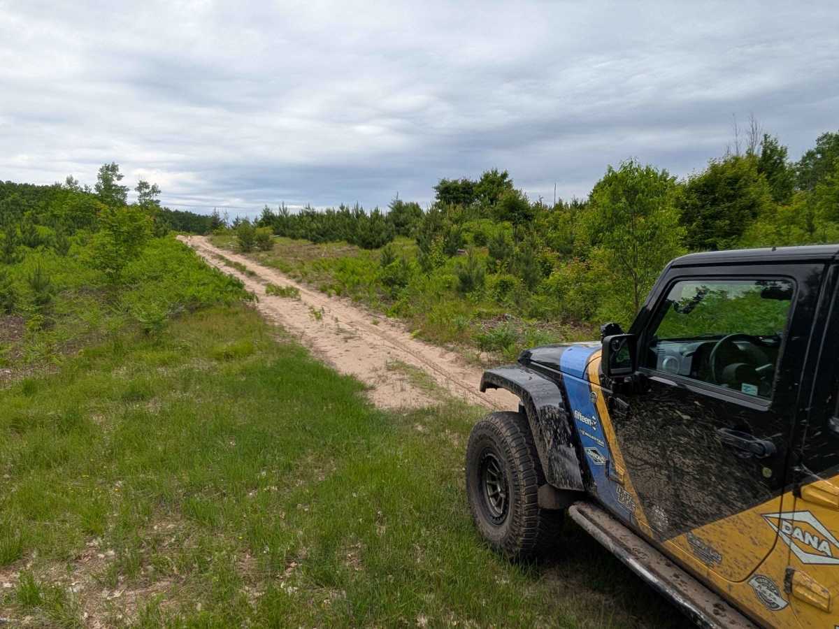 Pine Road Southeast photo 2
