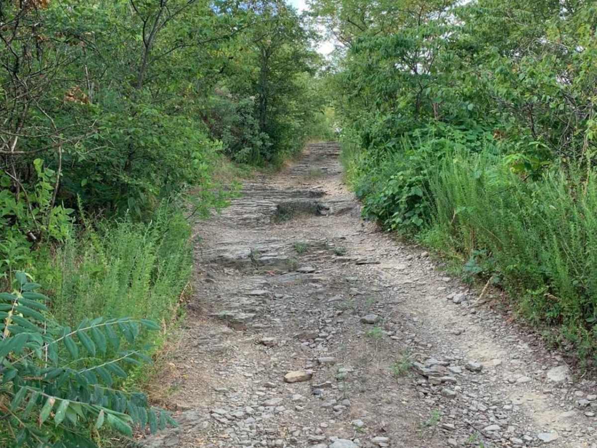 Pilot Knob Mountain photo 4