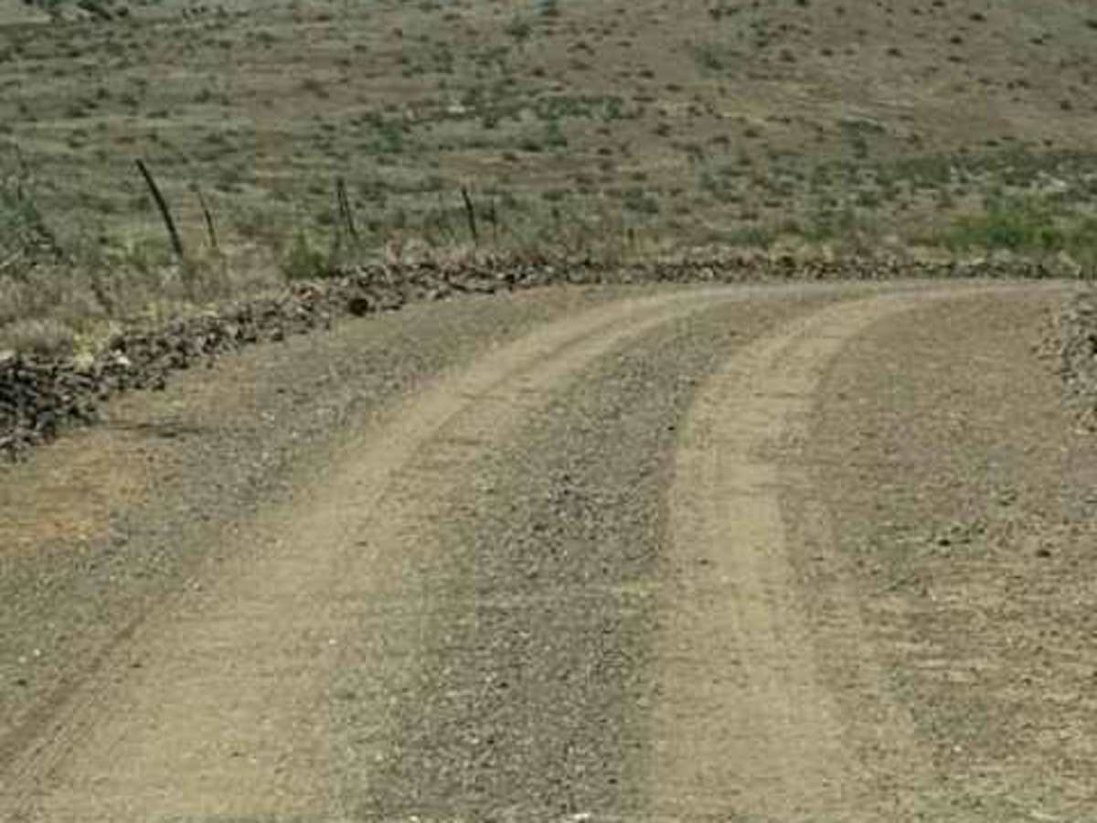 BLM SS1041 photo 3