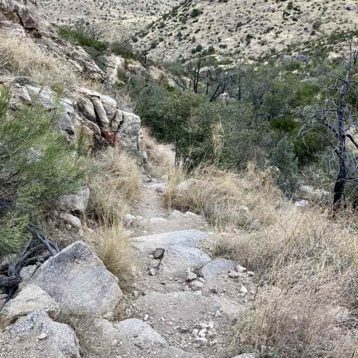 Near Thimble Peak via Sycamore Reservoir Trail