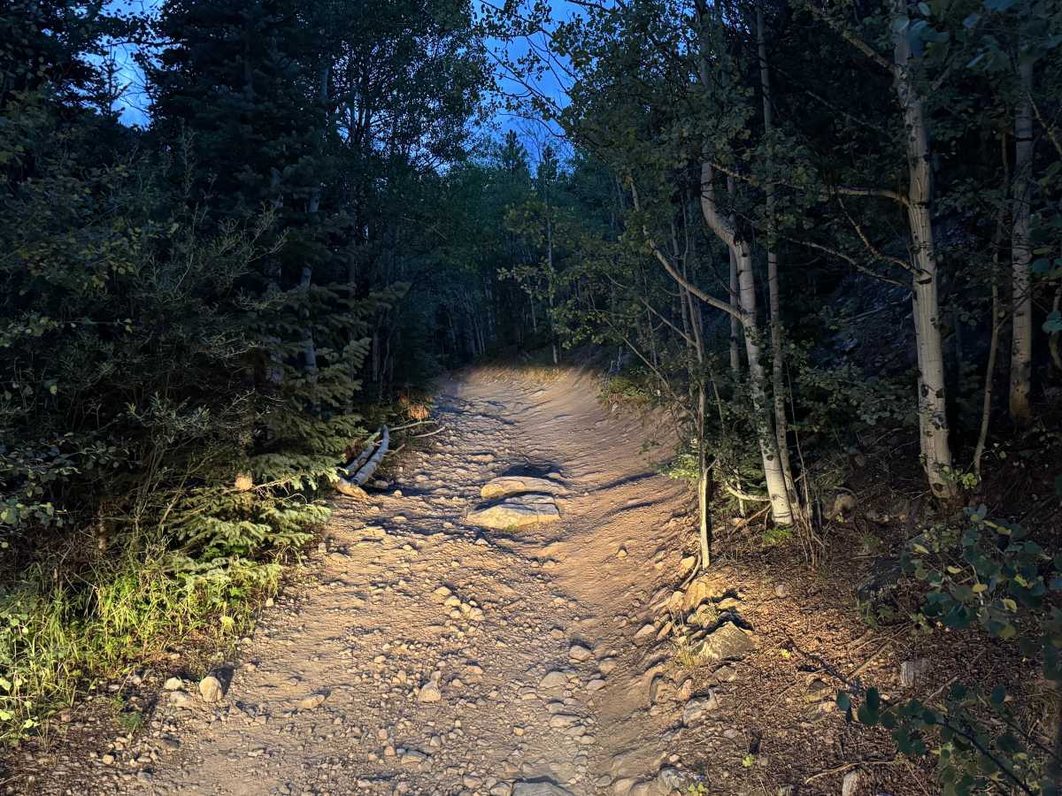 Paines Mountain Spur Road photo 4