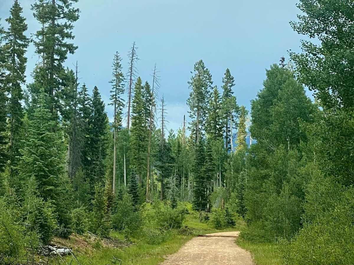 Sandbench-Fr Rd 642 photo 5