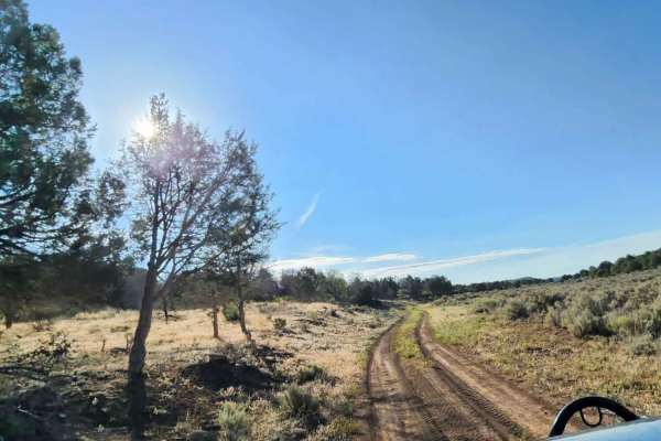 Beaver Rim Road