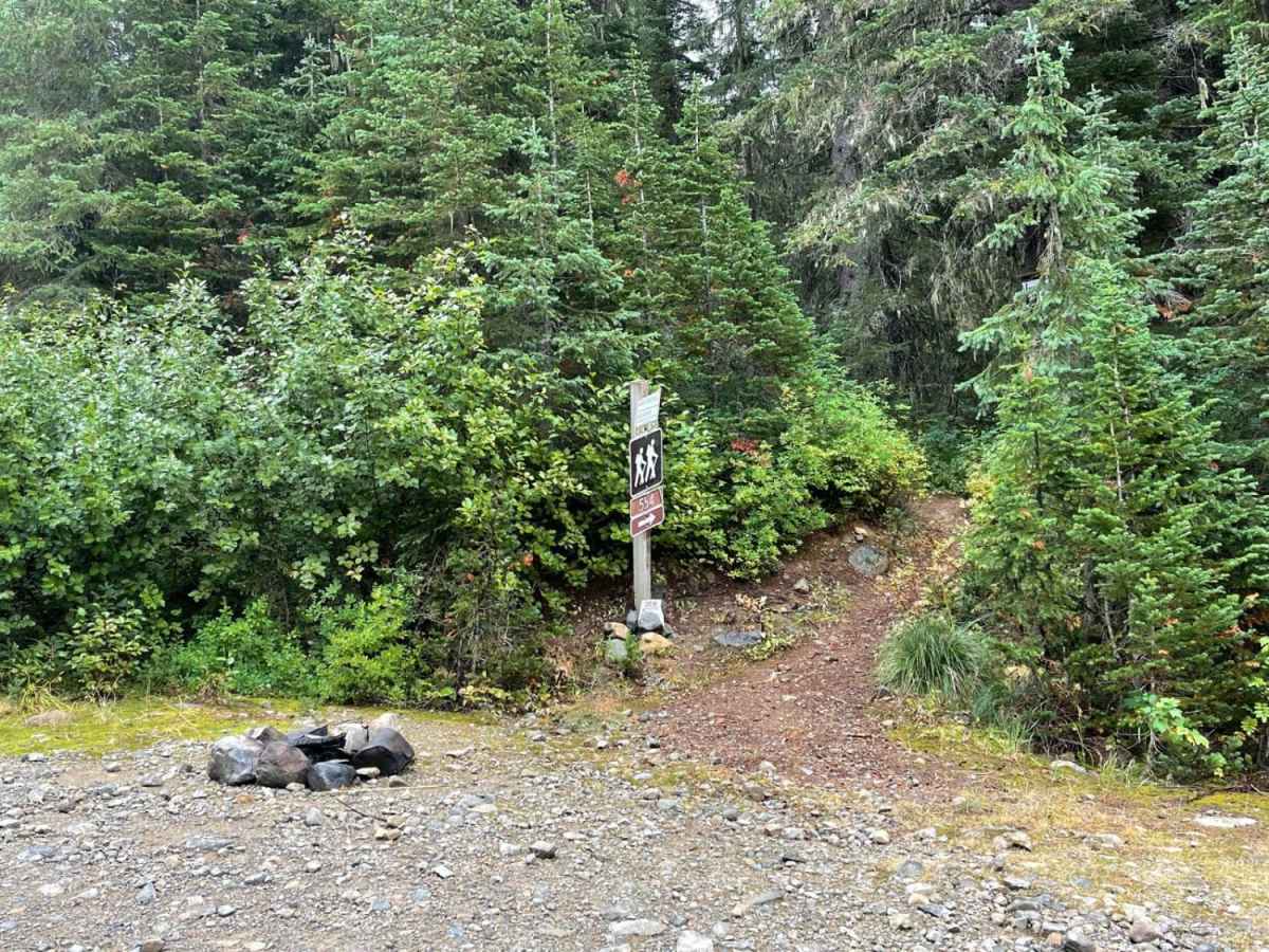 Lightning Creek photo 3
