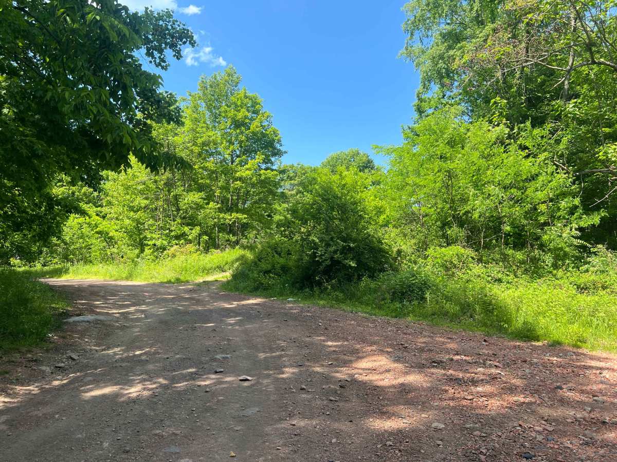 KC5 Five Mile Road trail photo