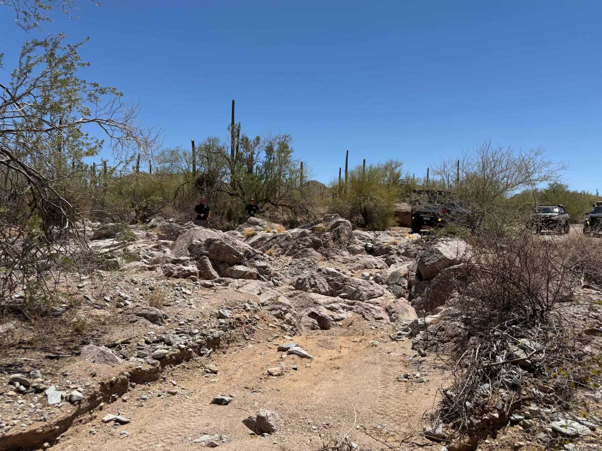 Side Route - BLM 8008 photo 3
