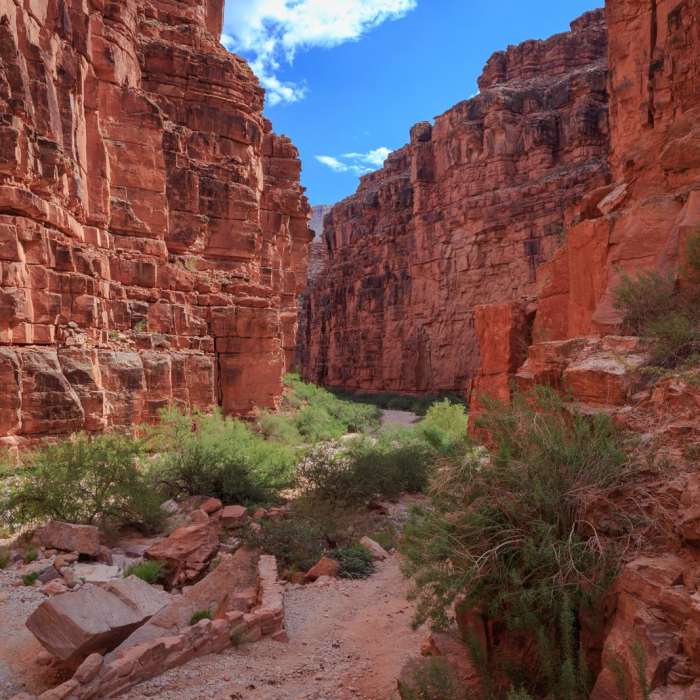 Near Havasu Falls Hike via Havasupai Trail