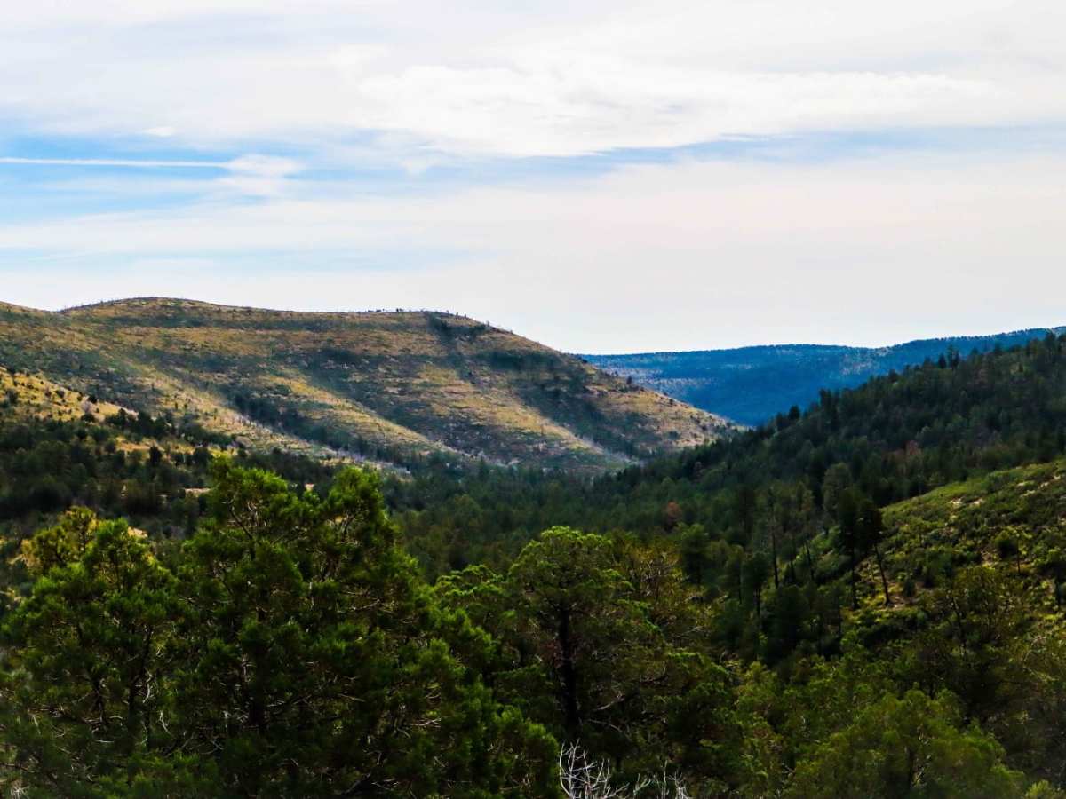 Three Mile Canyon Road photo 6