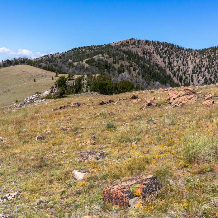 Near Ruby Peak Near Ruby Peak