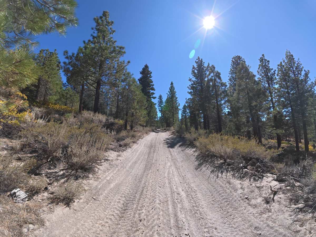 Lookout Loop photo 5