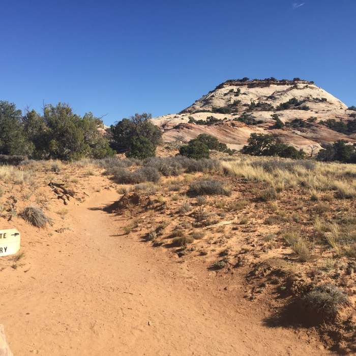 Near Aztec Butte Trail