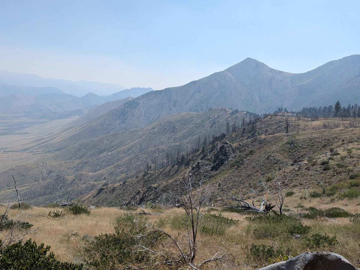 Napoleon Canyon Road - FS 32092 photo 3