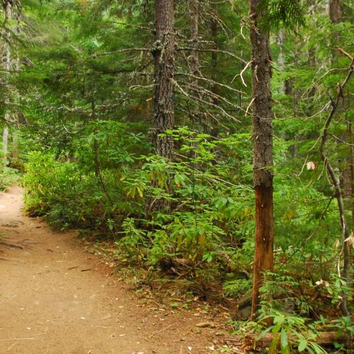 Near Mirror Lake + Tom Dick and Harry Mountain