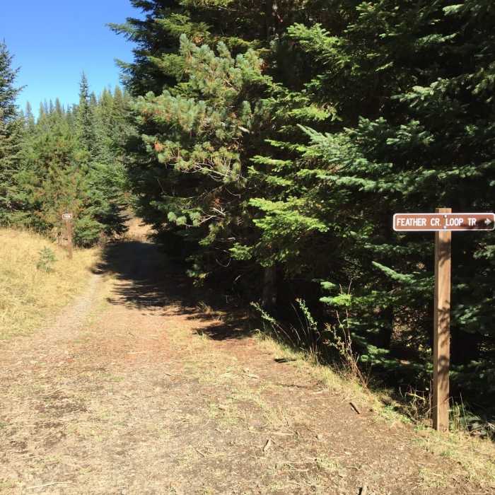 Near Feather Creek Loops
