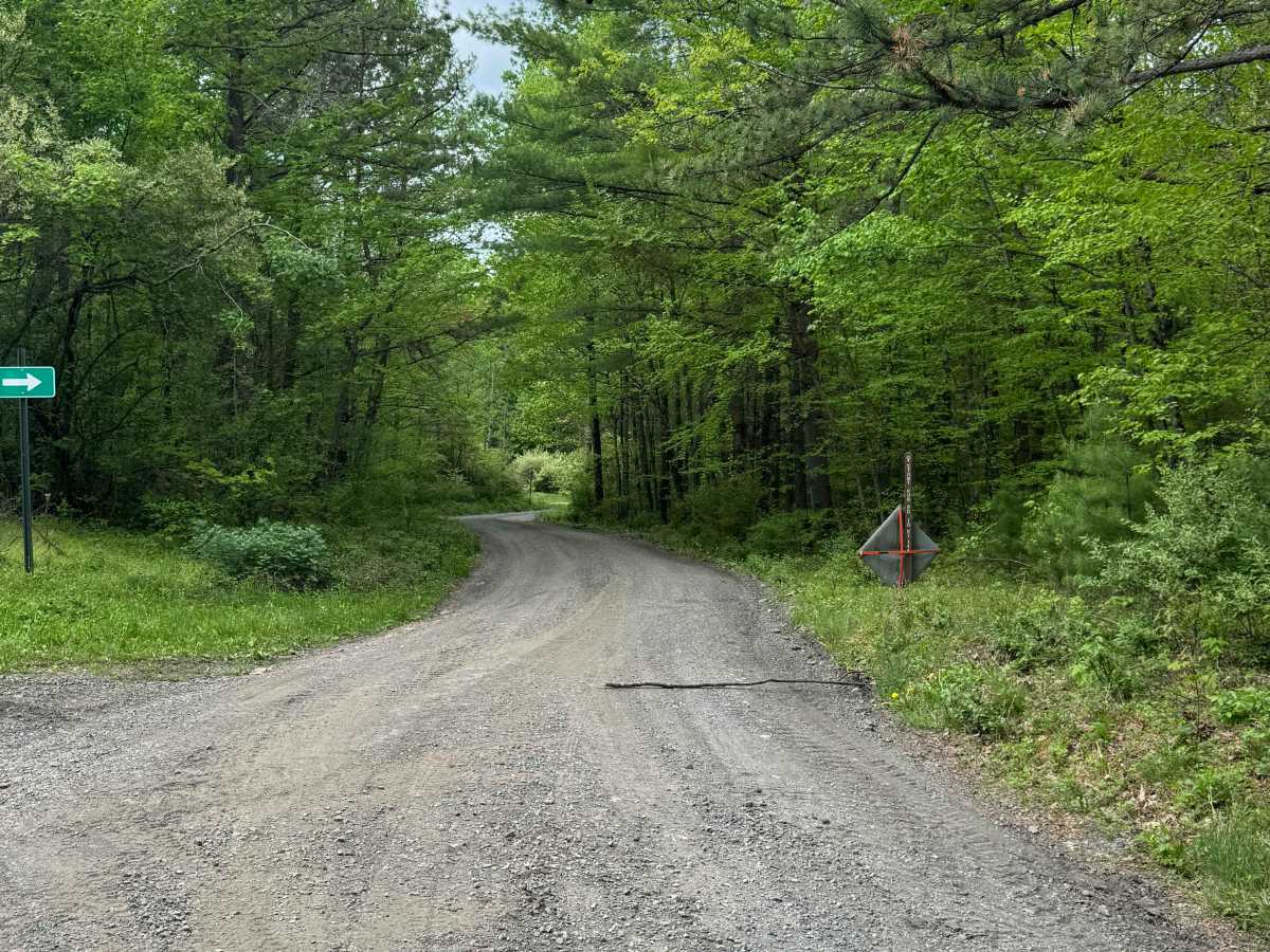 Stoney Run Road photo 2