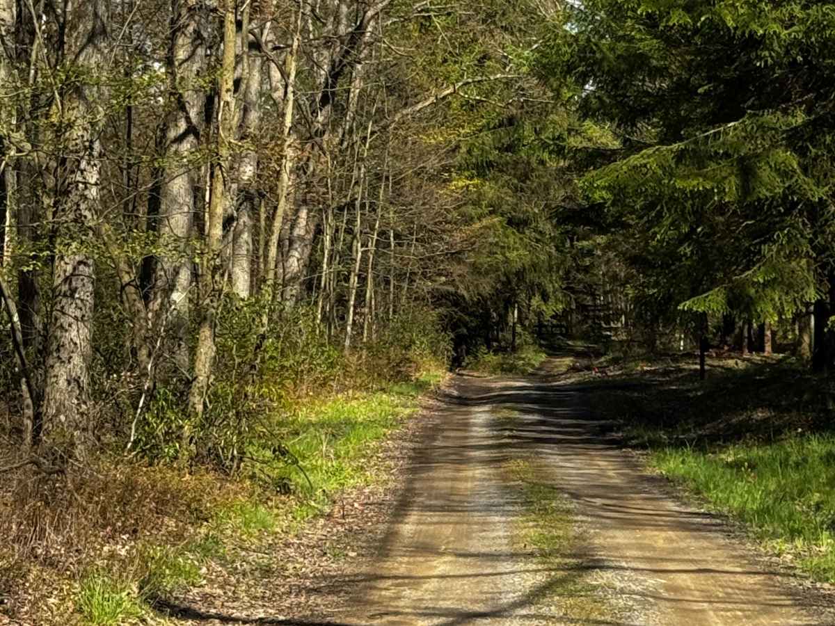 Smith Road photo 5