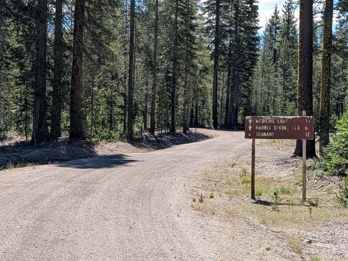 Lost Spring "Pigs Ear" East - FS 43N04 trail photo