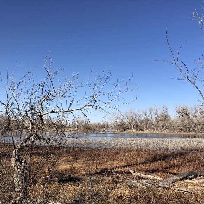 Lots of wildlife hanging out around here even though it's cold and dry. Near Ford County Lake Trail