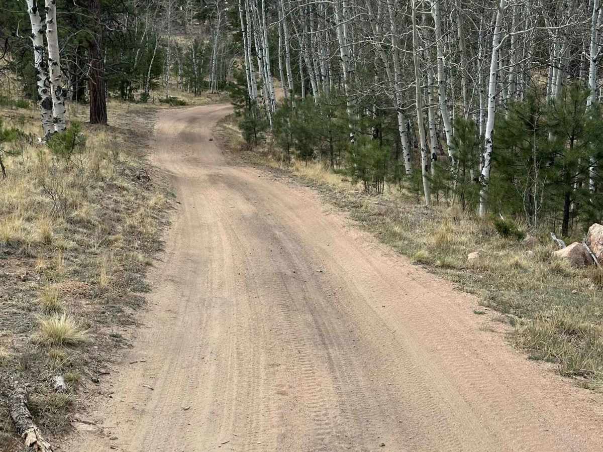 Sixteener Road photo 5