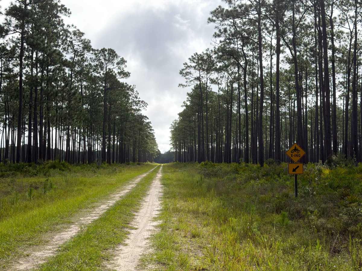 Osceola Connector - FS 216 photo 4