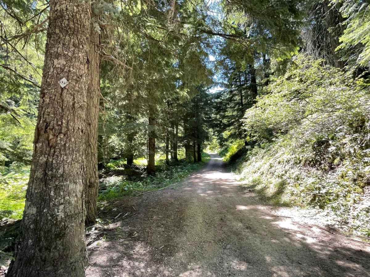 Deception Creek Circle photo 4